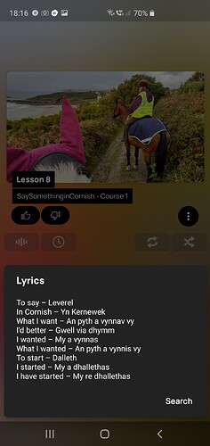 Screenshot_20200407-181630_Poweramp