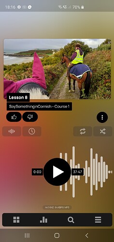 Screenshot_20200407-181616_Poweramp