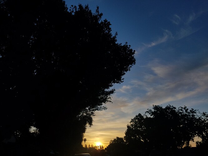 20190513_061324