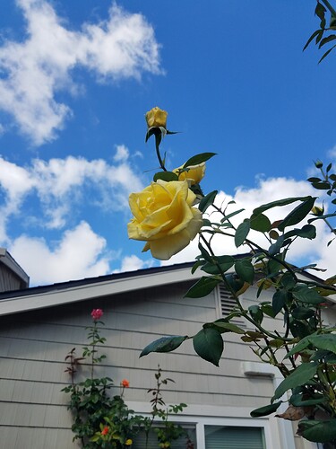 20190520_095246