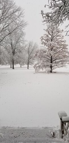 20190111_160320