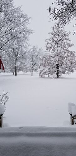 20190112_092102