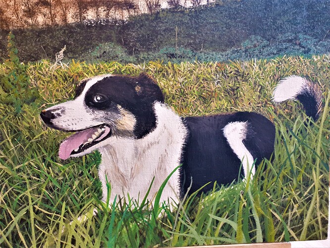 Bella%20oils
