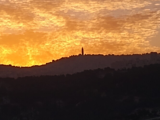 IMG_20210126_170130178_MP