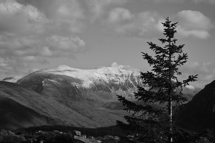 IMG_wyddfa