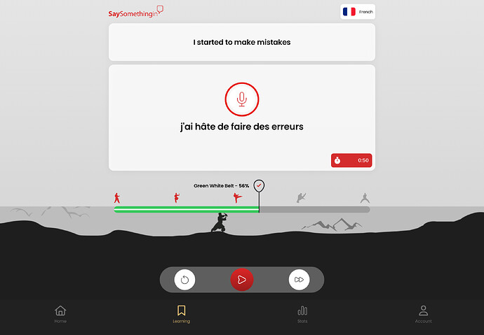 Probably incorrect French.PNG