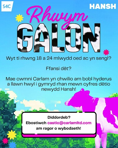 delwedd