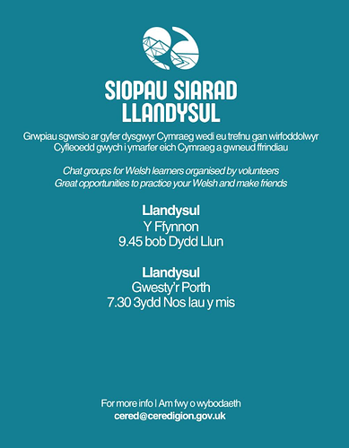 Siopau Siarad Llandysul