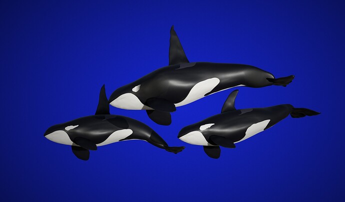 Orcas 2