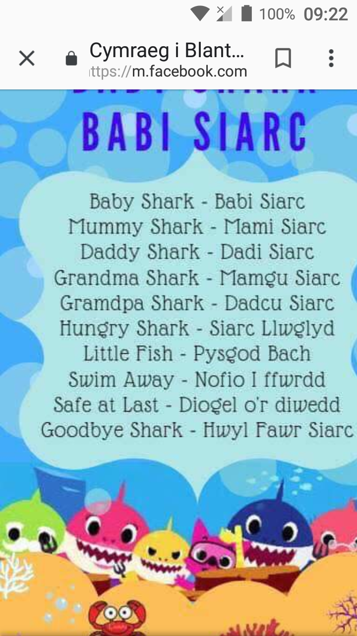Беби песни на английском. Baby Shark слова. Текст песни Baby Shark. Бэби Шарк песенка текст. Бейби Шарк Сонг.