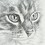 CatJones